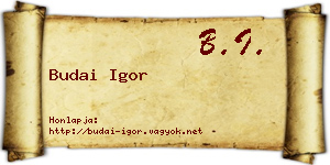 Budai Igor névjegykártya
